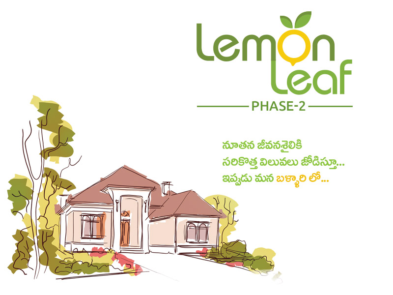 Lemon Leafn phase - 2